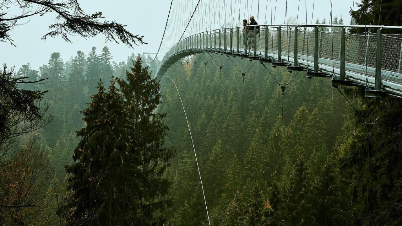 Ferienwohnung Nina Direkt In Zentrum Bad Wildbad Bagian luar foto