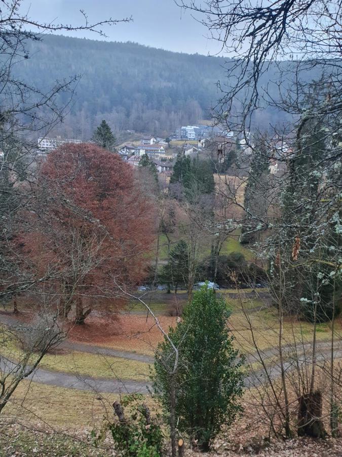 Ferienwohnung Nina Direkt In Zentrum Bad Wildbad Bagian luar foto
