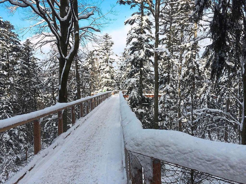 Ferienwohnung Nina Direkt In Zentrum Bad Wildbad Bagian luar foto